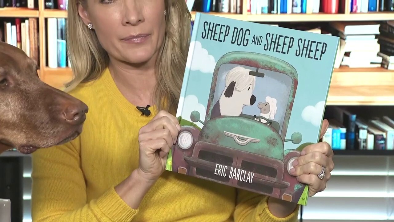 Dana reads 'Sheep Dog and Sheep Sheep'