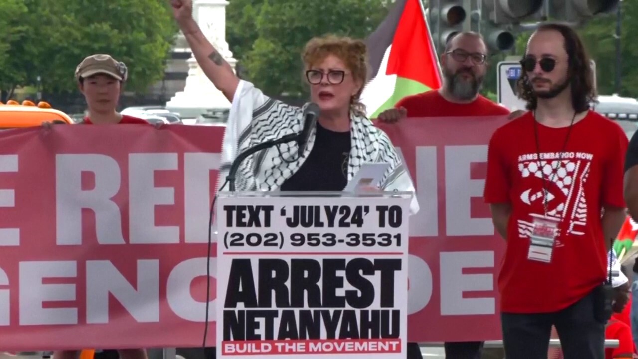 Susan Sarandon rallies anti-Israel protesters