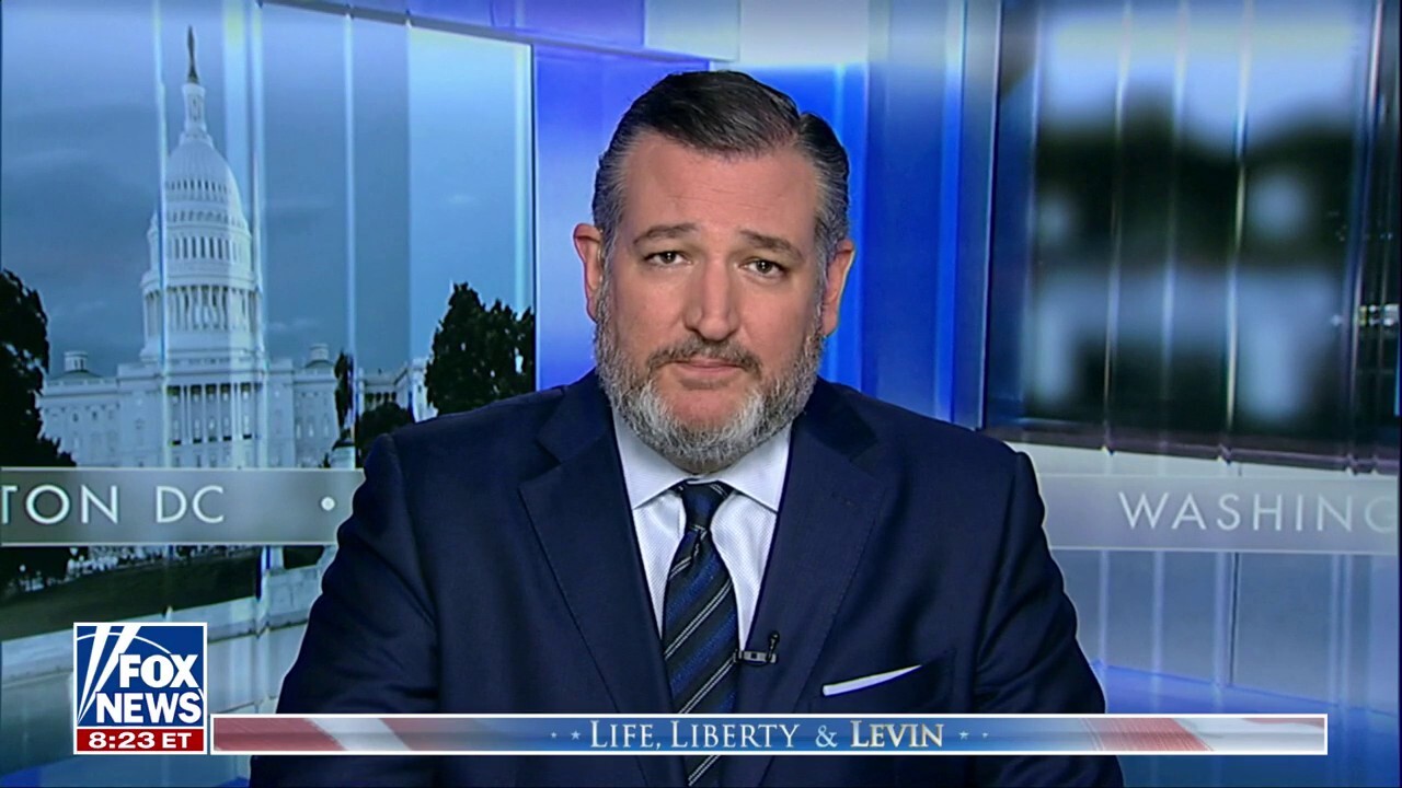 Ted Cruz: Biden's border deal is 'designed not to secure the border'