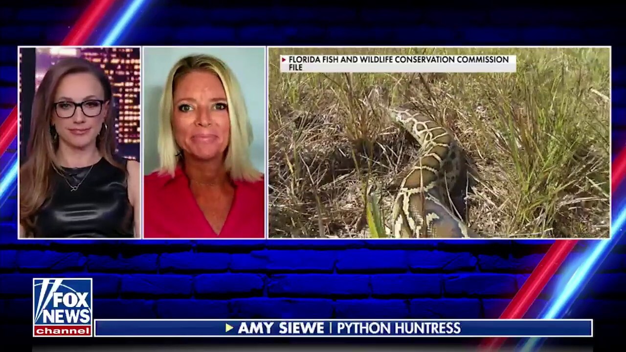 A day in the life of python huntress Amy Siewe