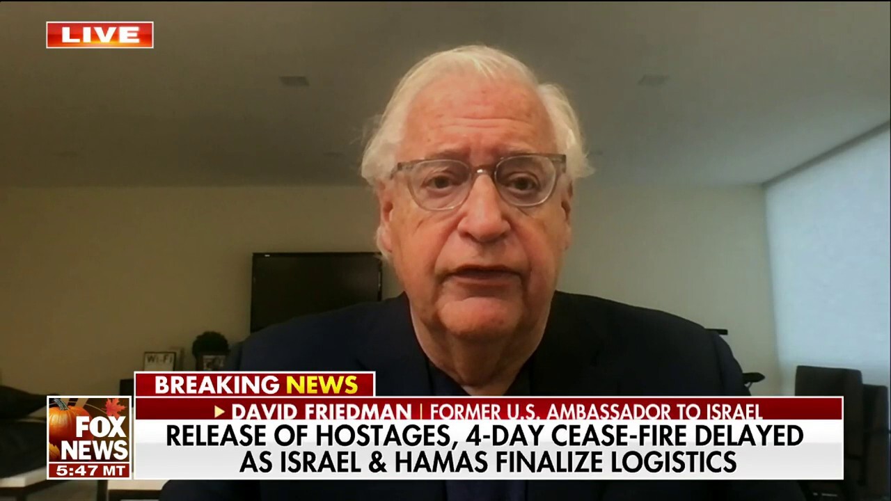 Israel is a country of ‘Jewish mothers’: David Friedman