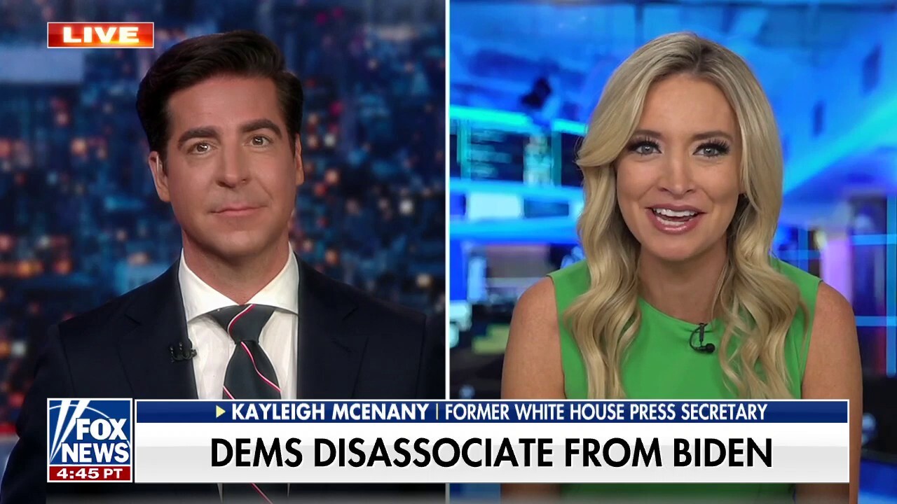 Now Dems Are Saying That Men Can Get Pregnant Kayleigh Mcenany Fox 