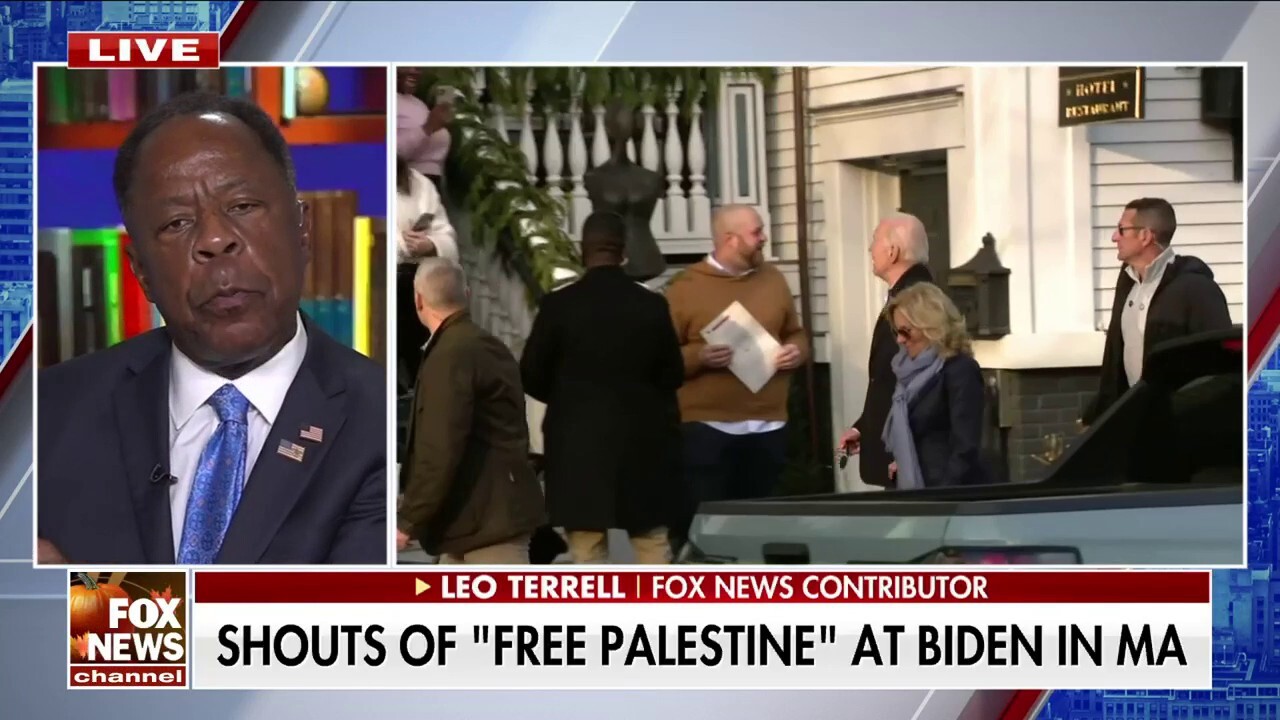 Democrats have a ‘quandary’ with pro-Israeli and pro-Palestinian bases: Leo Terrell