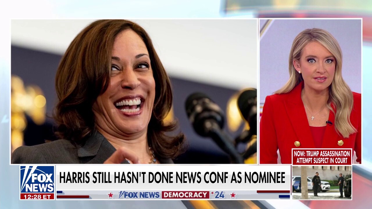 Harris campaign slammed after dismissing concerns about lack of interviews: 'Ridiculous!'