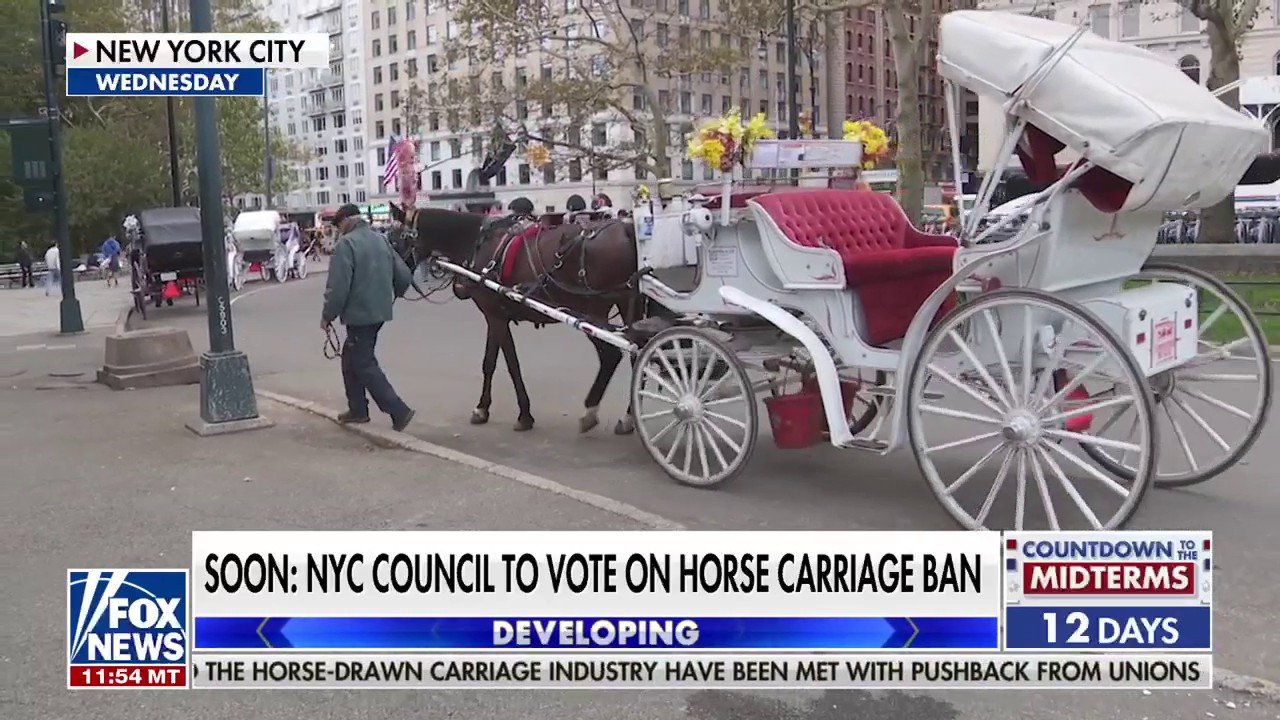 NYC horse-drawn carriage ban sparks fierce debate ahead of council vote