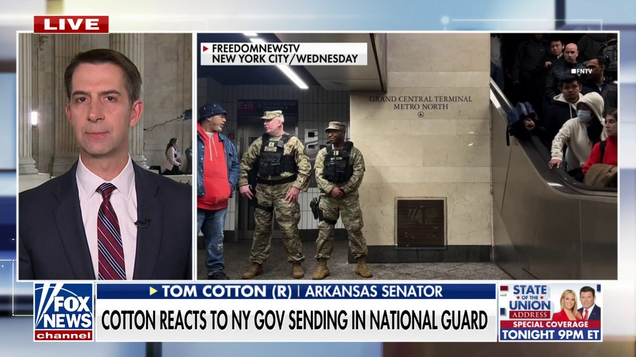 Law and order broke down because of the left’s ‘war on police’: Tom Cotton