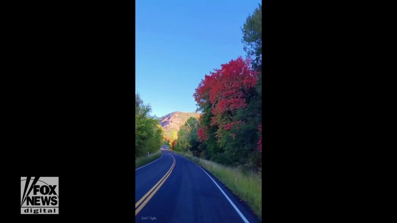 Color me fall! Drone footage captures stunning fall foliage