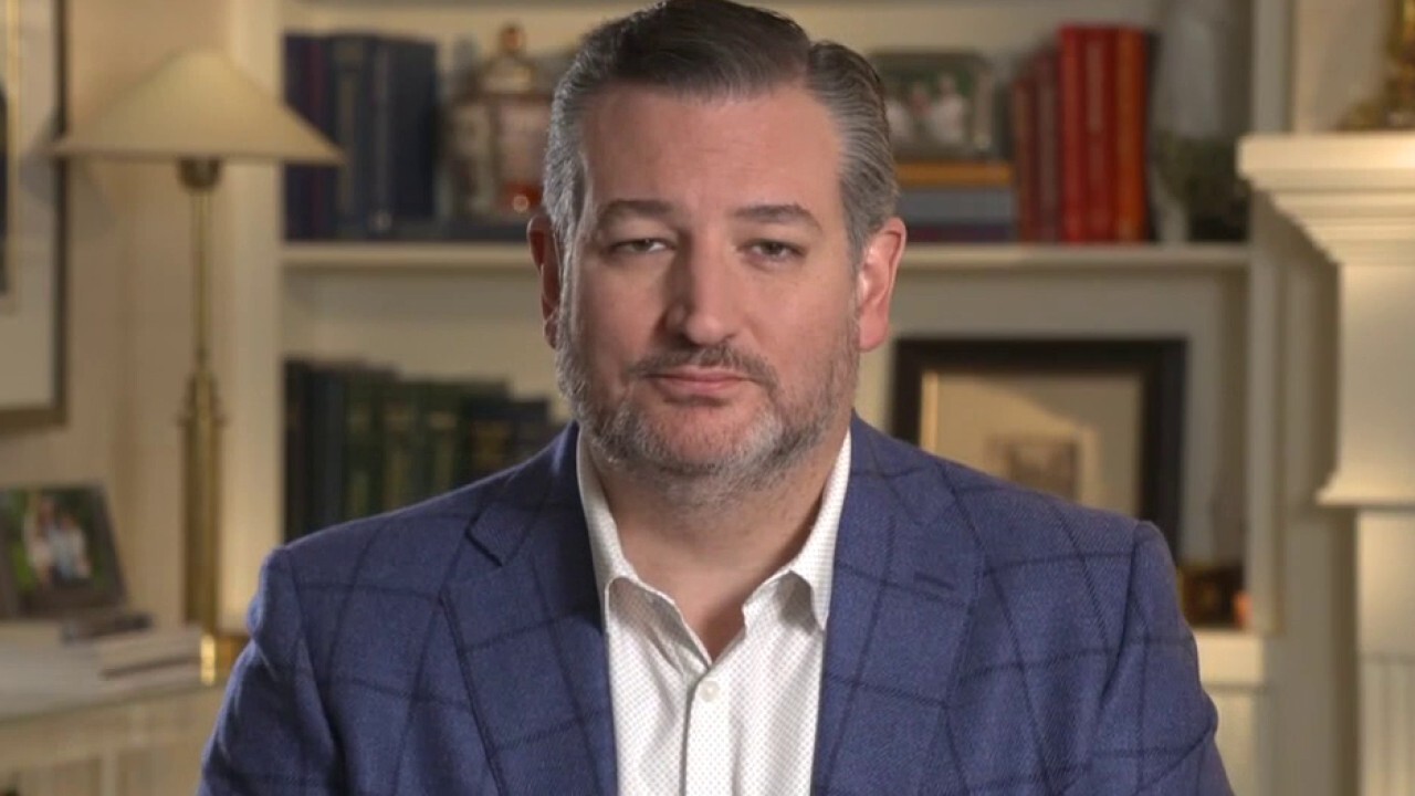 Ted Cruz: Critical race theory is 'poison that's being poured into the minds of our kids' 