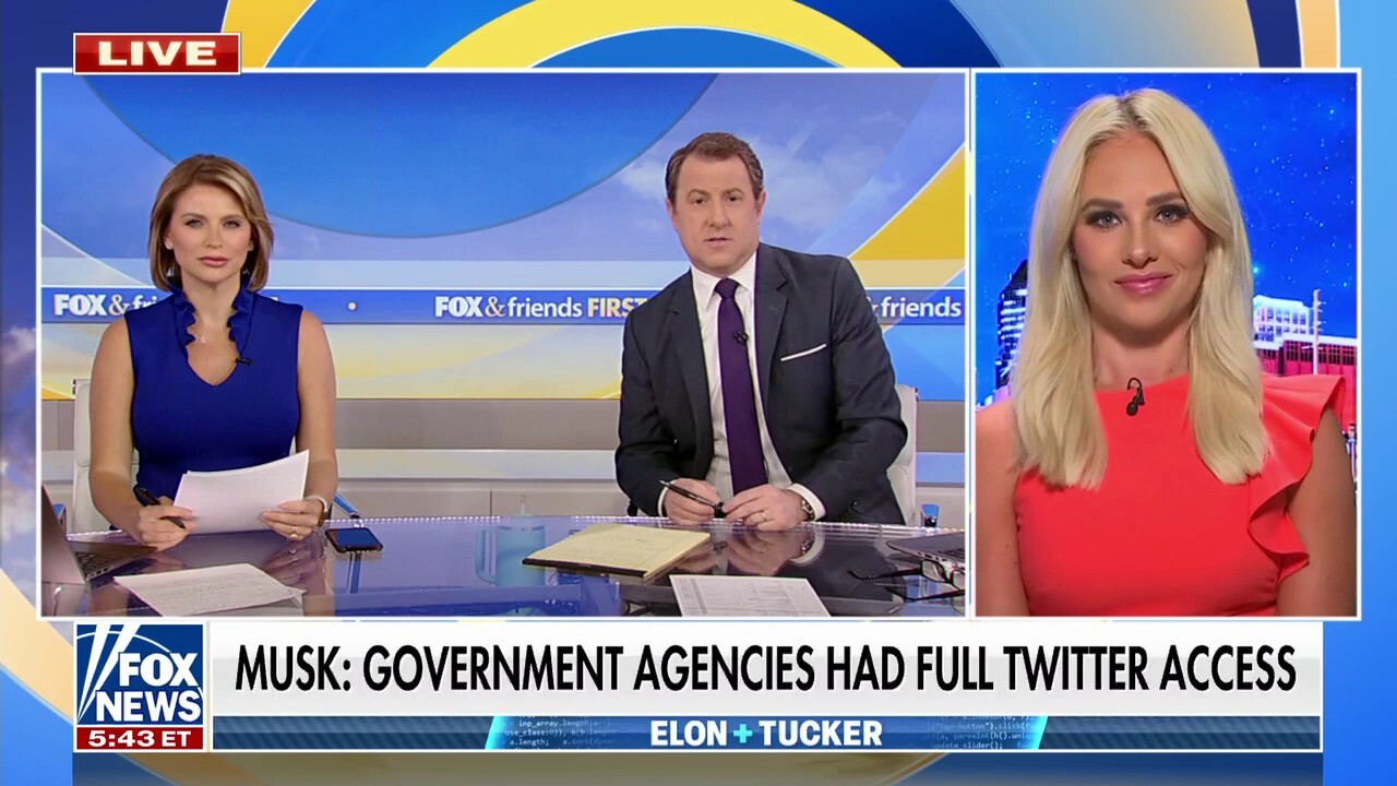 Tomi Lahren says gov't access to Twitter should be concerning 'all the way around'