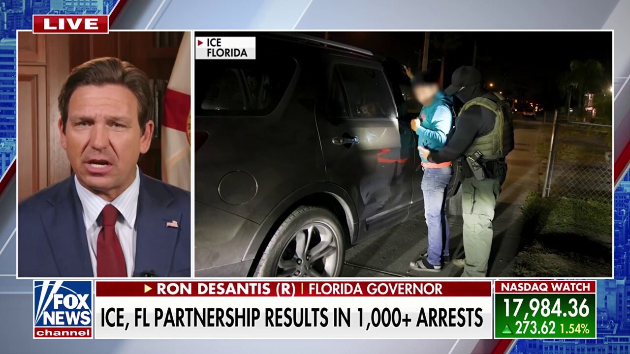 Florida Gov. Ron DeSantis gives his take on Democrats supporting deported migrant Kilmar Abrego Garcia and his state’s partnership with ICE on ‘The Story.’