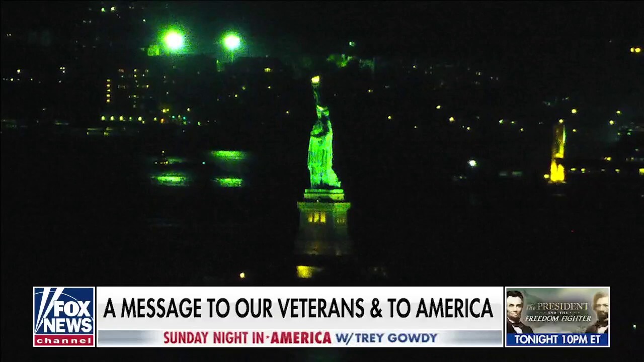 Trey Gowdy shares Veterans Day message 