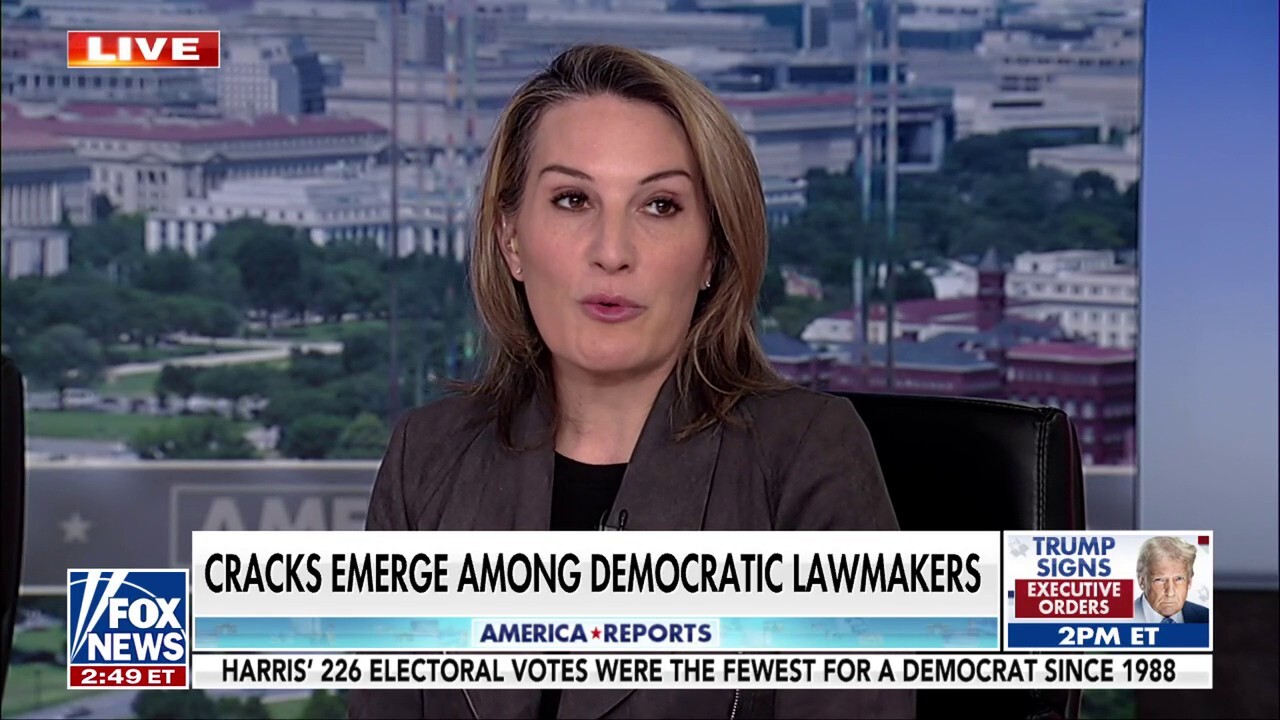 Democrats need to get focus around issues or they will get primaried, Dem strategist warns