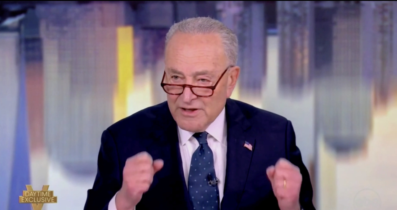 Chuck Schumer shrugs off suggestion he should step down as party leader