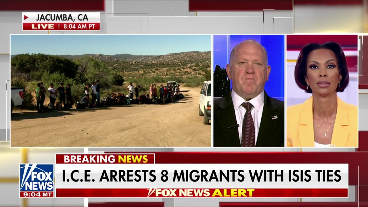 Tom Homan warns current 'open border' poses national security risks: 'Something is coming'