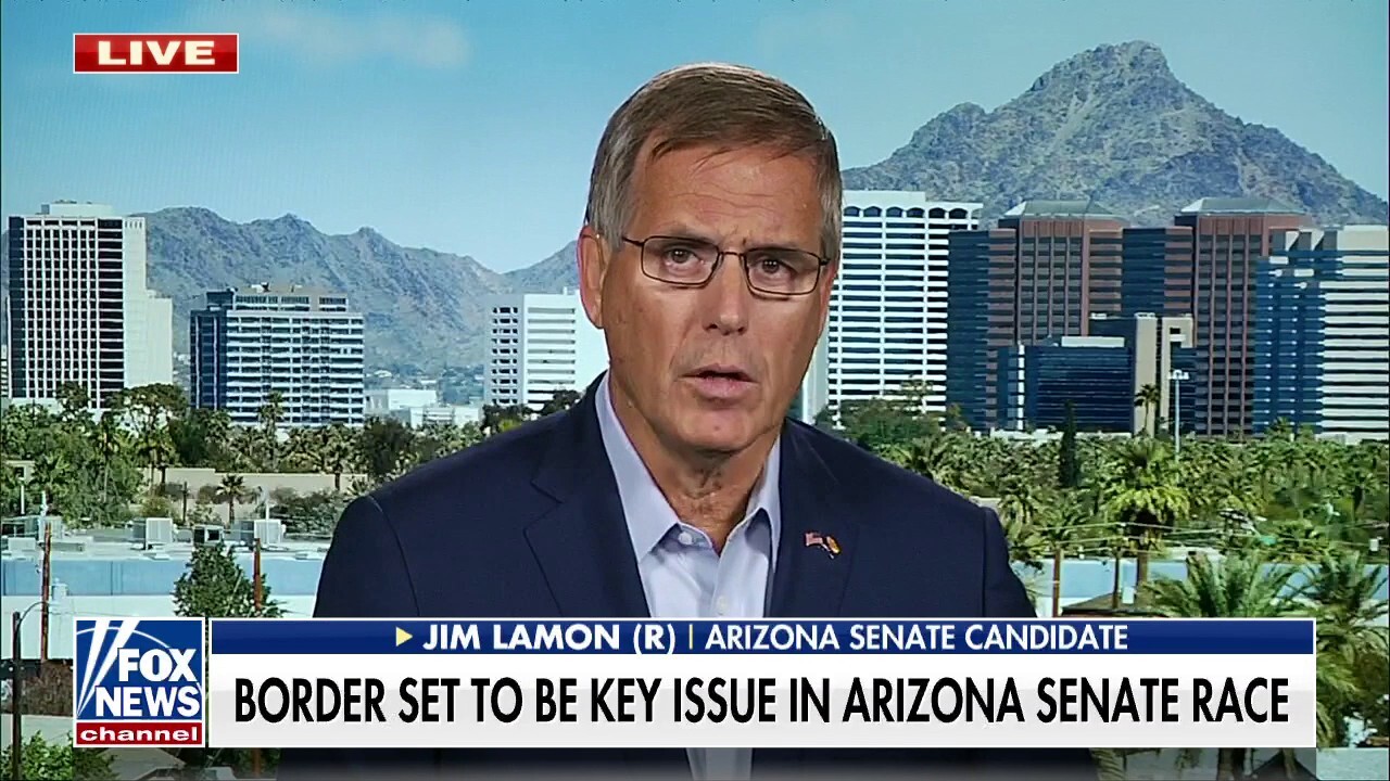 Senate candidate Lamon on border drug smuggling: We need to save our kids
