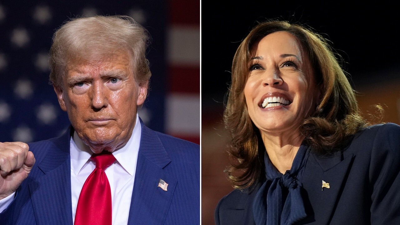 Kamala Harris is still an underdog, it's all about the economy: Robert Wolf