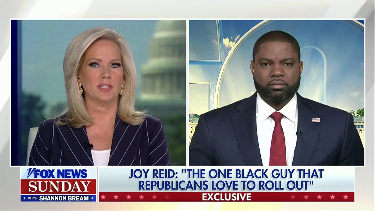 Joy Reid's comments are 'nothing more than crabs in a barrel': Rep. Byron Donalds