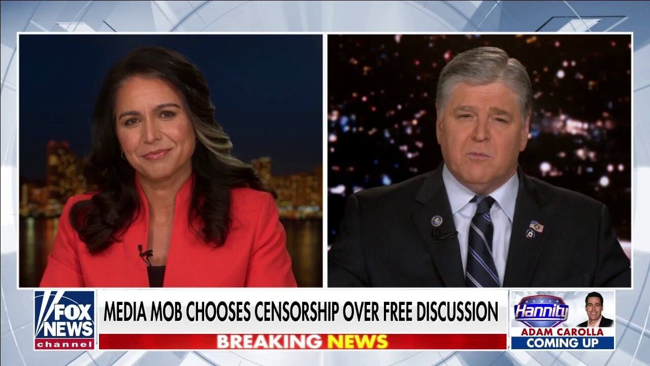 Tulsi Gabbard slams censorship and claims 'free speech is at the heart of our democracy'