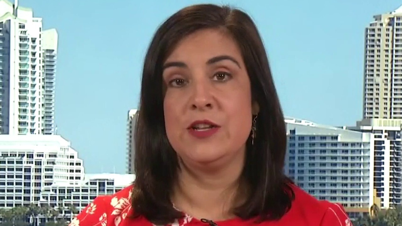 ‘Fork in the road’: Malliotakis on the Democrats’ push towards socialism, GOP opposition