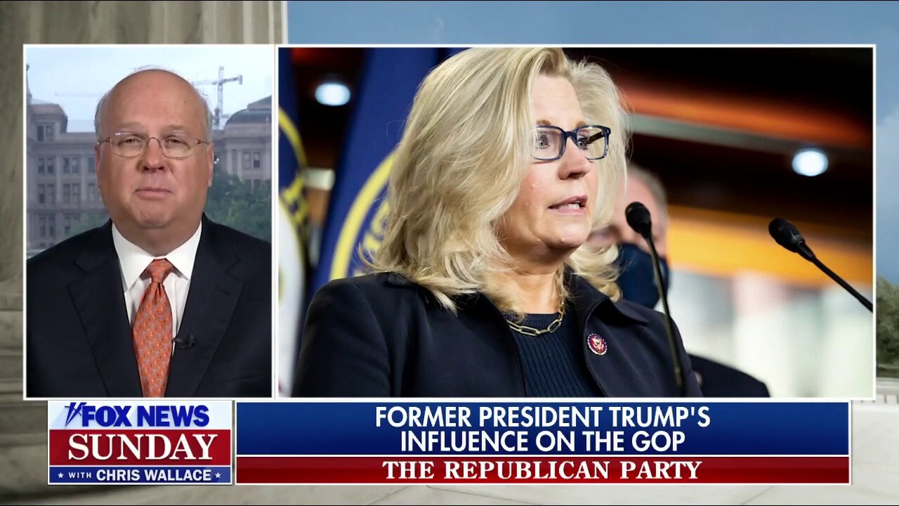 Rep. Liz Cheney ‘most likely’ will lose, be removed from job: Karl Rove