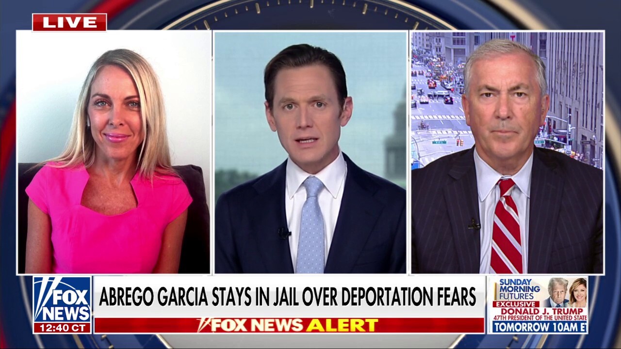 Panelists Nicole Parker and Michael Balboni talk I.C.E. arrests of Iranian nationals on ‘Fox News Live.’