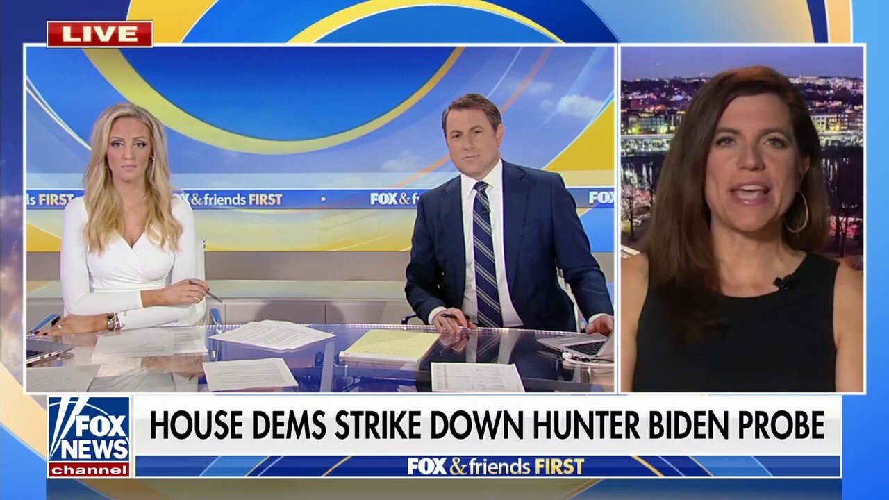 House Democrats strike down Hunter Biden investigative probe