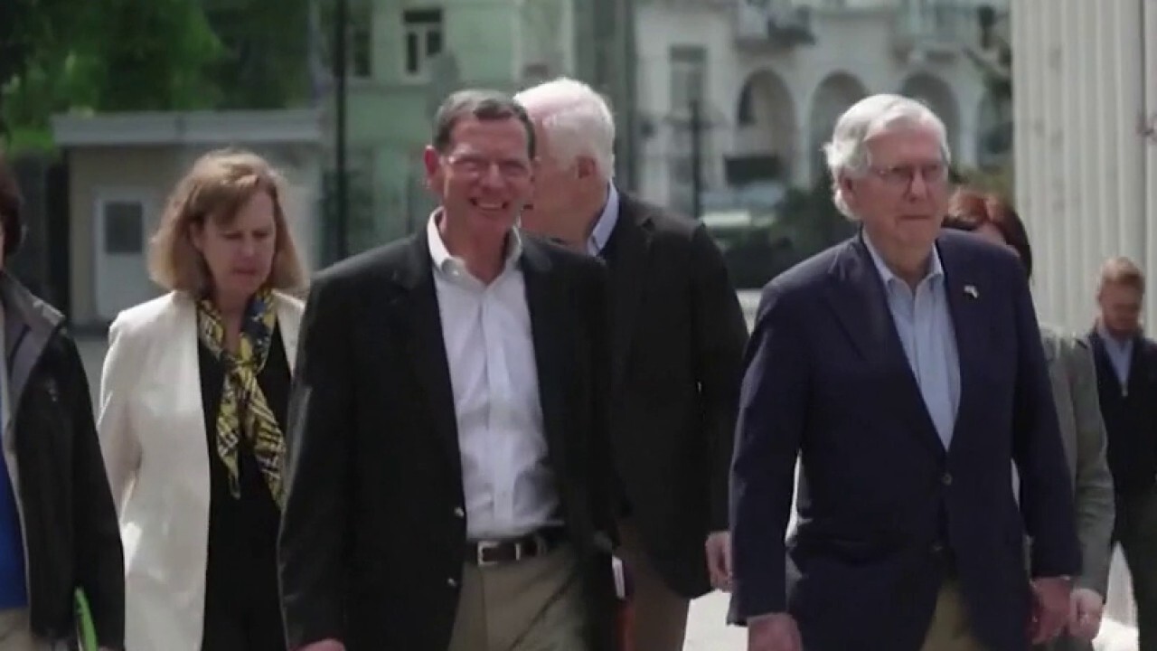 McConnell and GOP senators meet Zelenskyy in Kyiv
