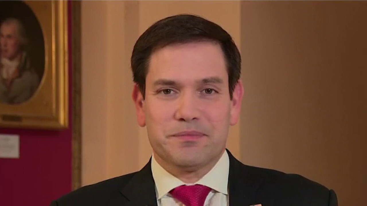 Sen. Marco Rubio on Chamber of Commerce's opposition to 'buy America' push