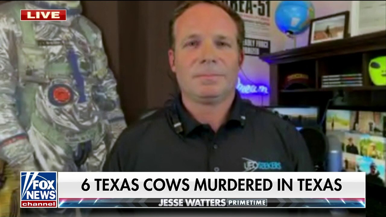 Could UFOs be behind Texas’ cow mutilations? 