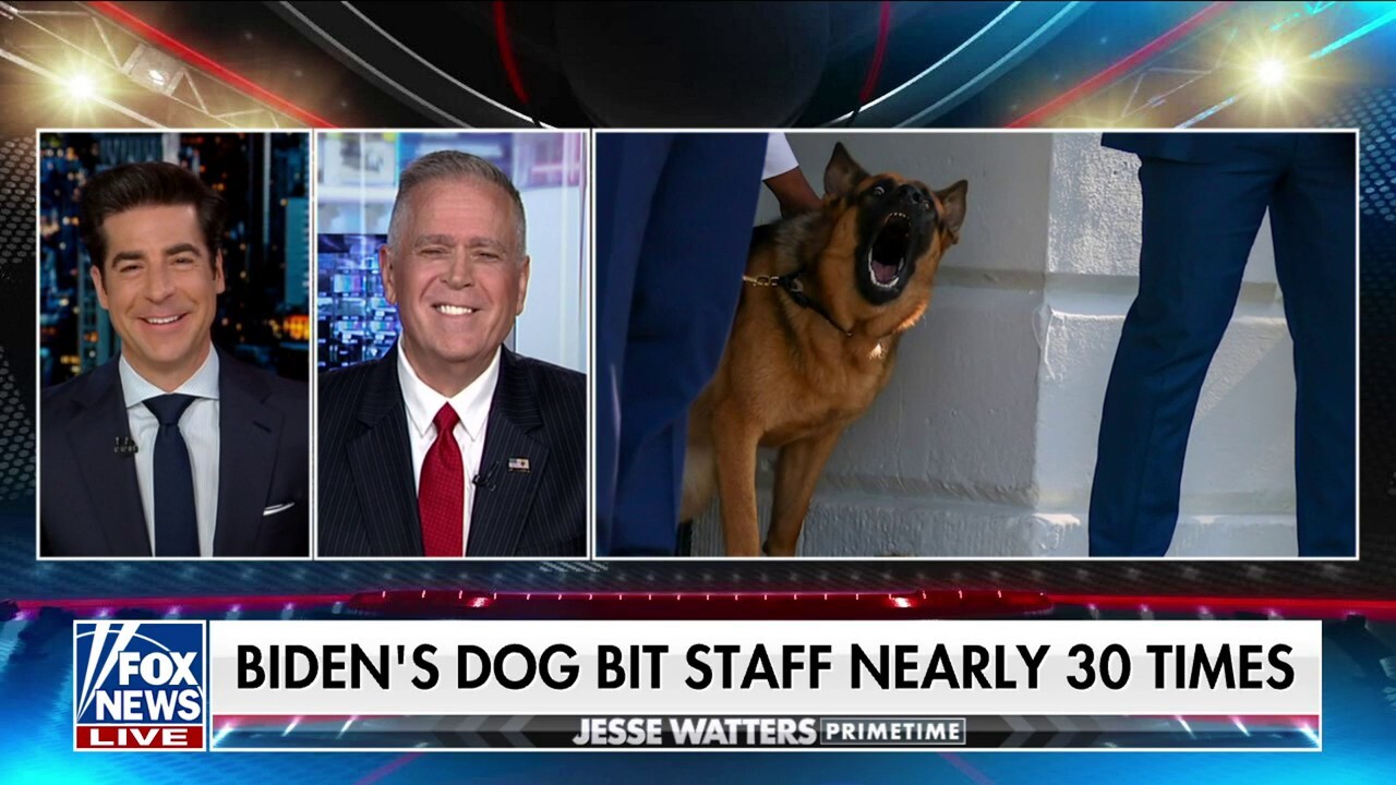 Tim Miller: Who's more important here - the dog or the Secret Service agents?