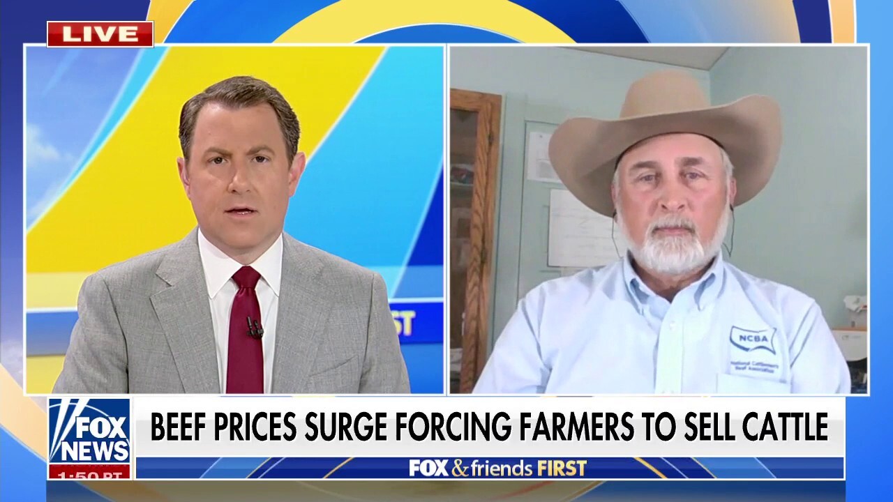 American farmers forced to sell cattle as beef prices surge  