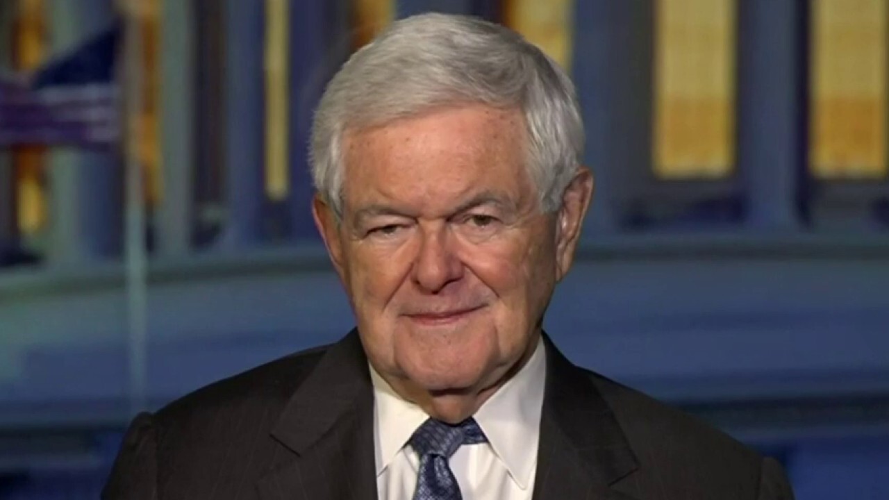 Newt Gingrich: Every American will understand Biden's level of corruption