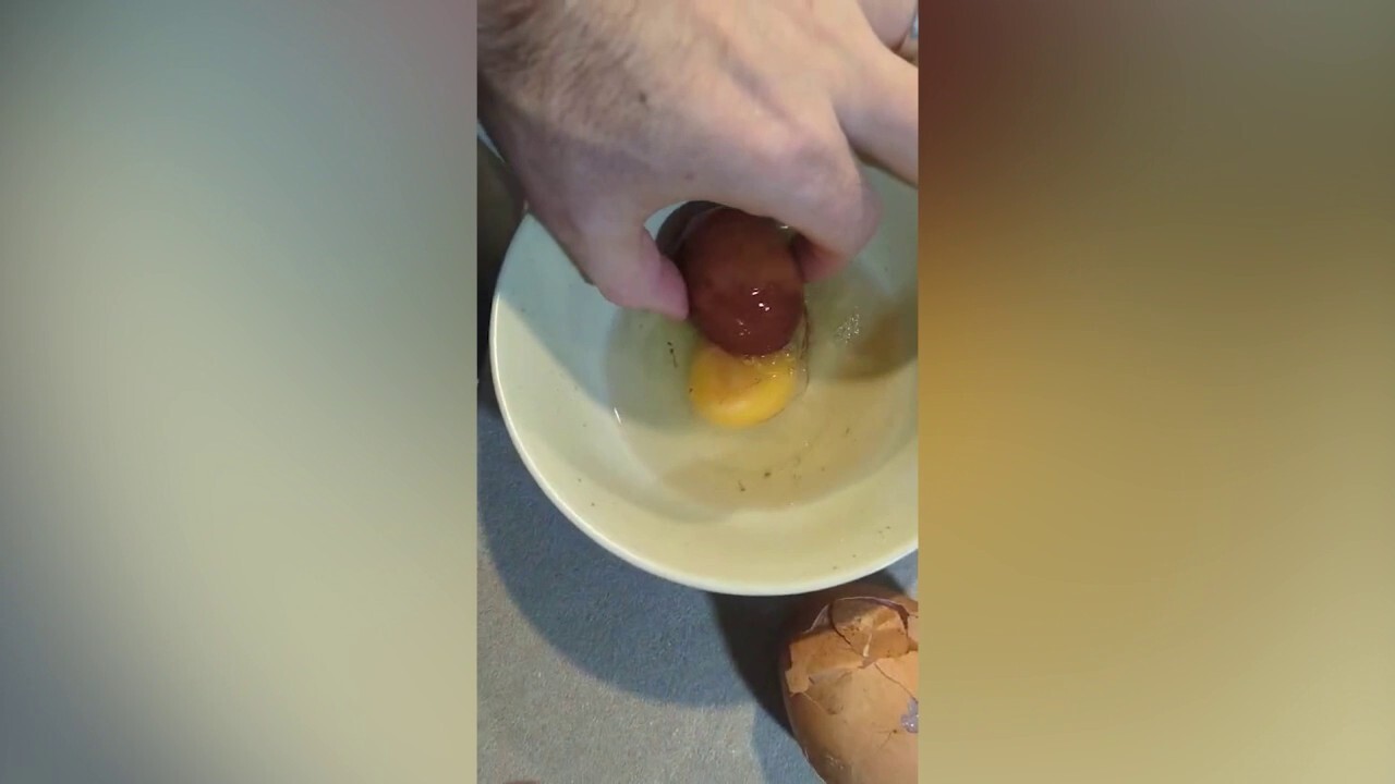 Enormous egg cracked open to reveal another egg inside