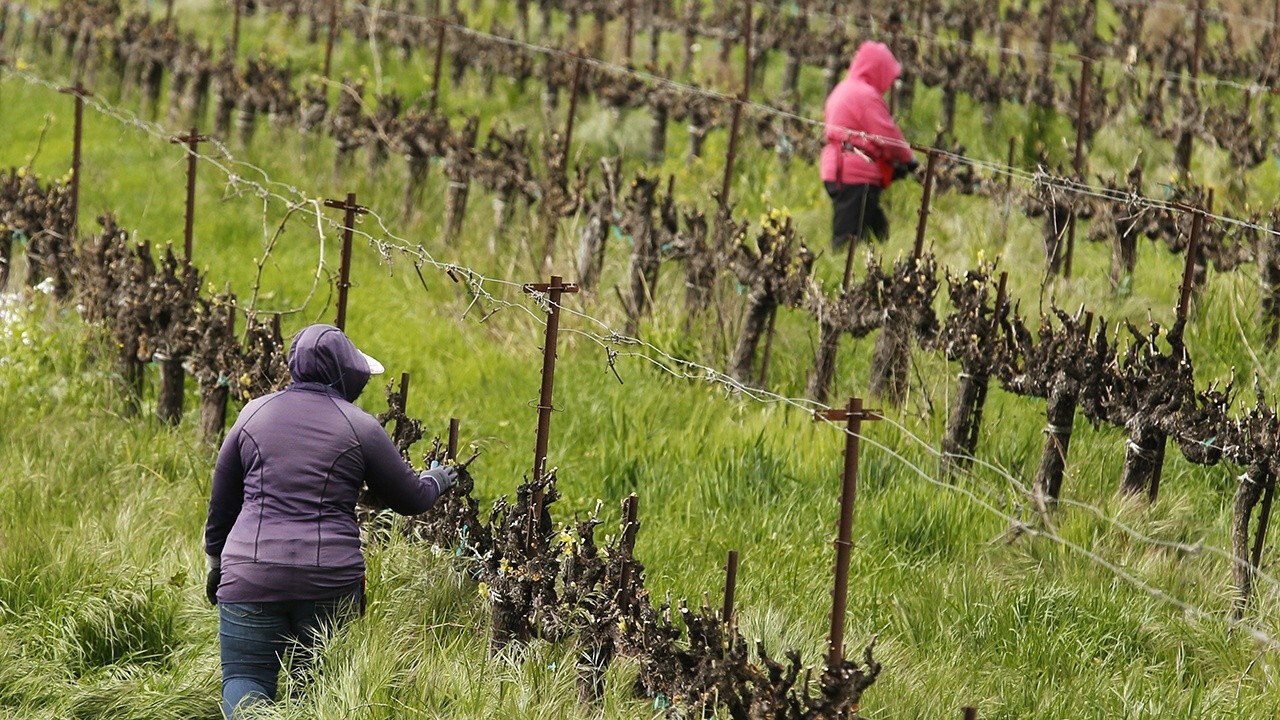 Farmworkers wary of coronavirus spread in agriculture industry