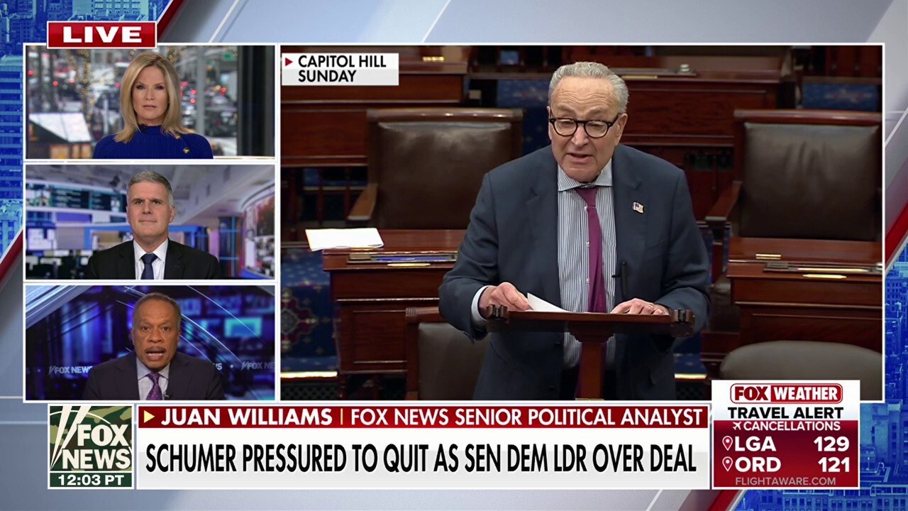 Democrats want a leader who is capable of ‘fighting’ Trump, says Juan Williams