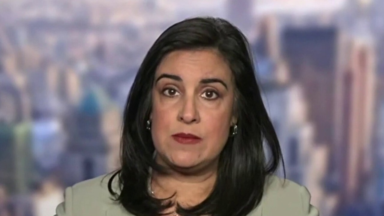 Rep. Nicole Malliotakis: Omnibus spending bill 'does not reflect the ...