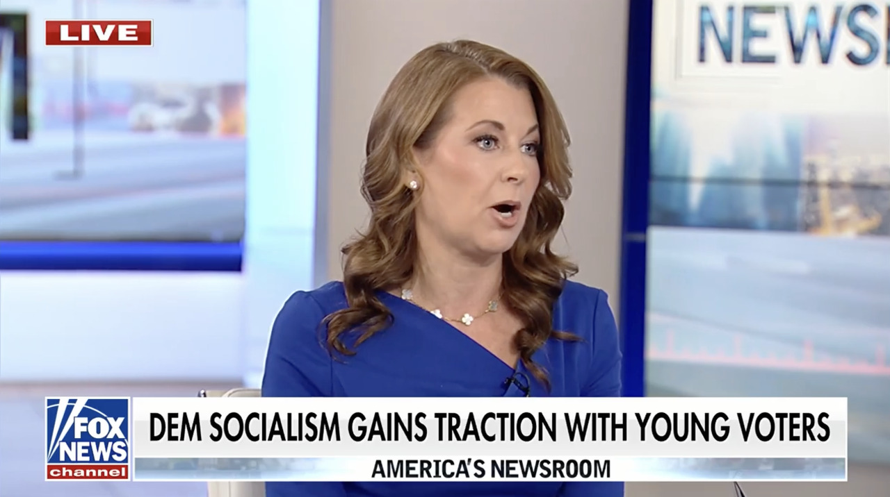 Democratic Socialists of America are 'extremists,' liberal strategist argues