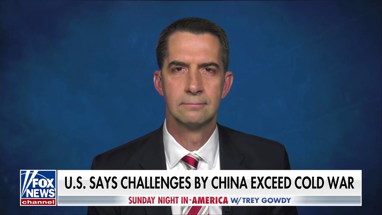 We need a president who will deter our adversaries: Sen. Tom Cotton