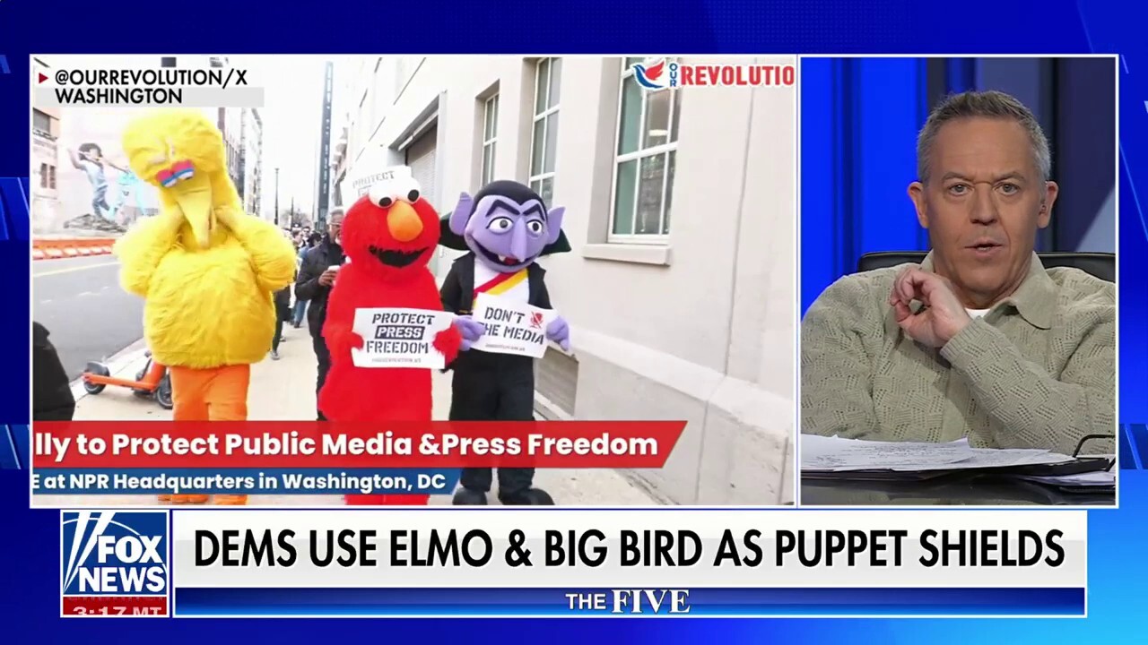 ‘The Five’ talk Democrats enlisting Elmo and Big Bird in war on DOGE