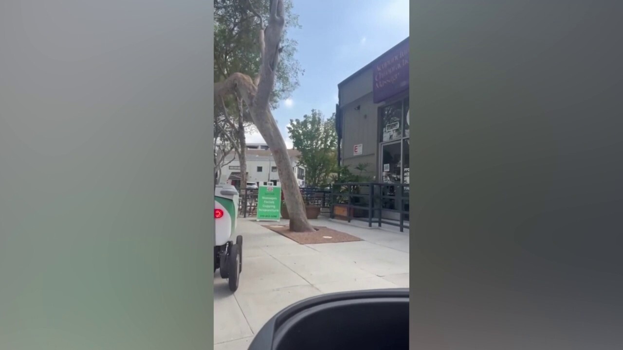 A West Hollywood man with cerebral palsy captured the moment a food delivery robot repeatedly collided with his mobility scooter on Sept. 12. (Credit: @the.gay.disabled.therapist via Storyful)