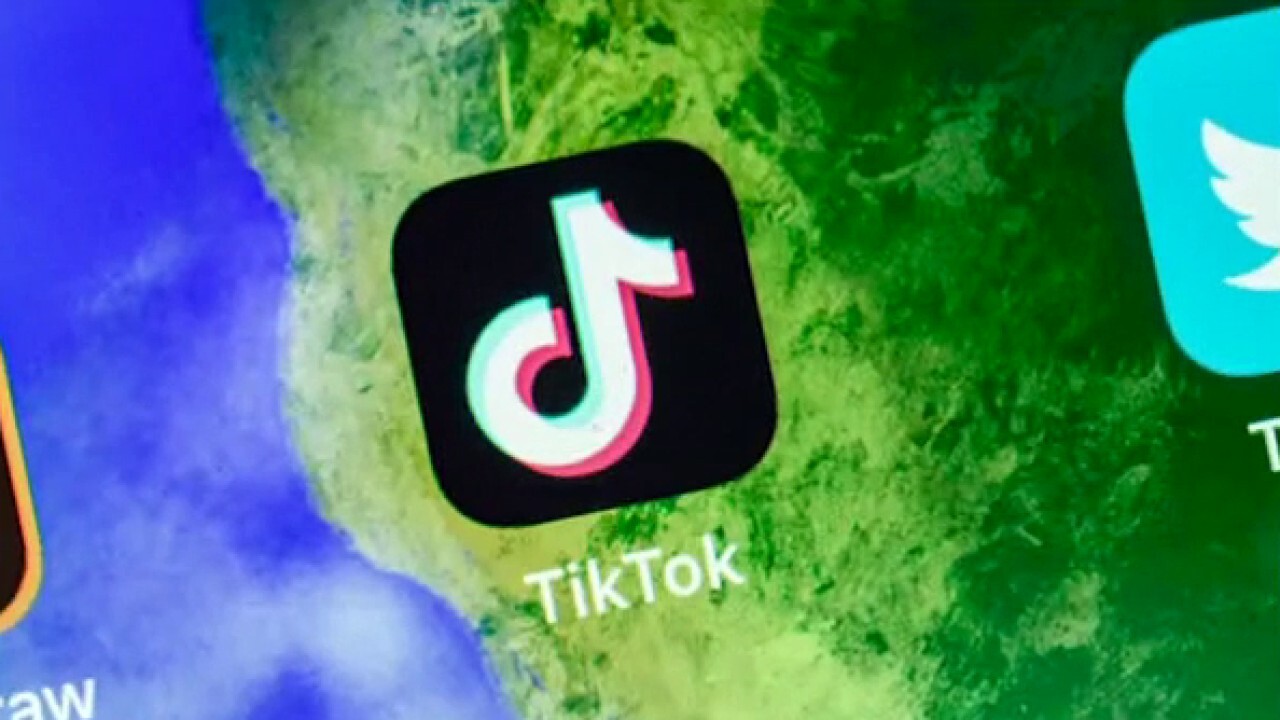 TikTok fires back after President Trump announces plan to ban the social media app