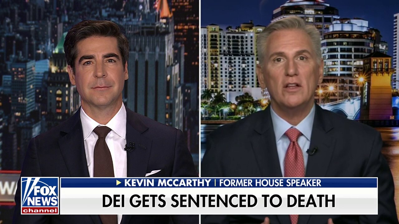 Kevin McCarthy: Americans voted to end DEI