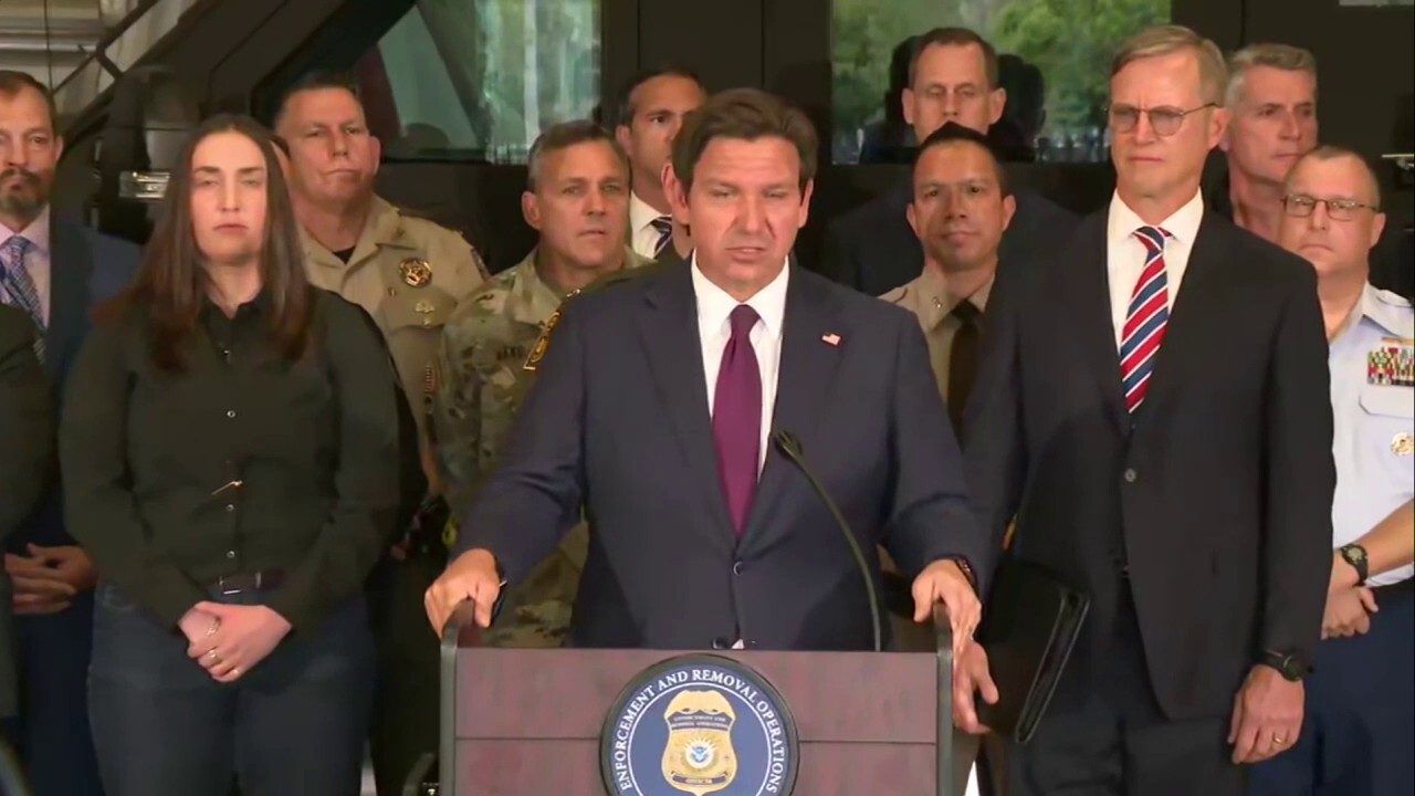 DeSantis hails joint operation with ICE in Florida, says there is a 'new sheriff in town'