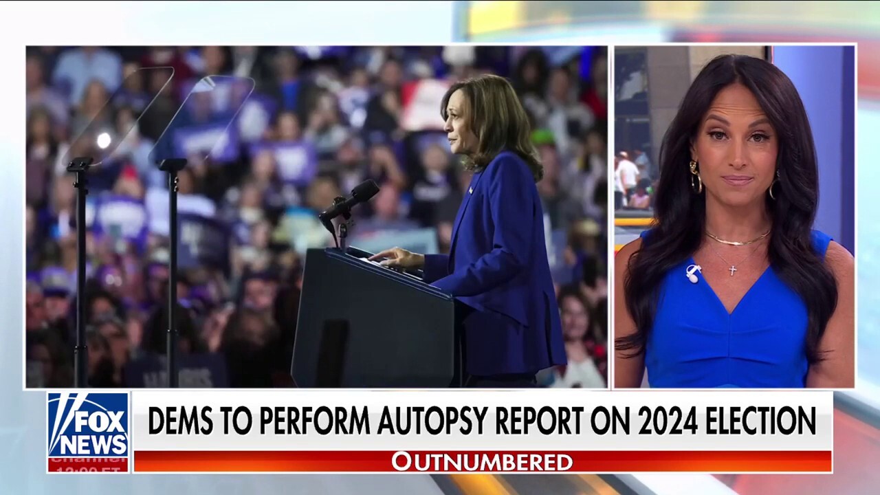 Democrats to conduct 'audit' of 2024 without reviewing timeline of Biden dropping out