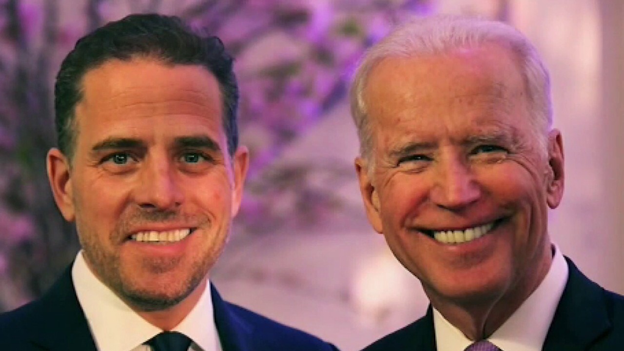 Media protecting the president when focusing on Hunter Biden book: Patrice Onwuka