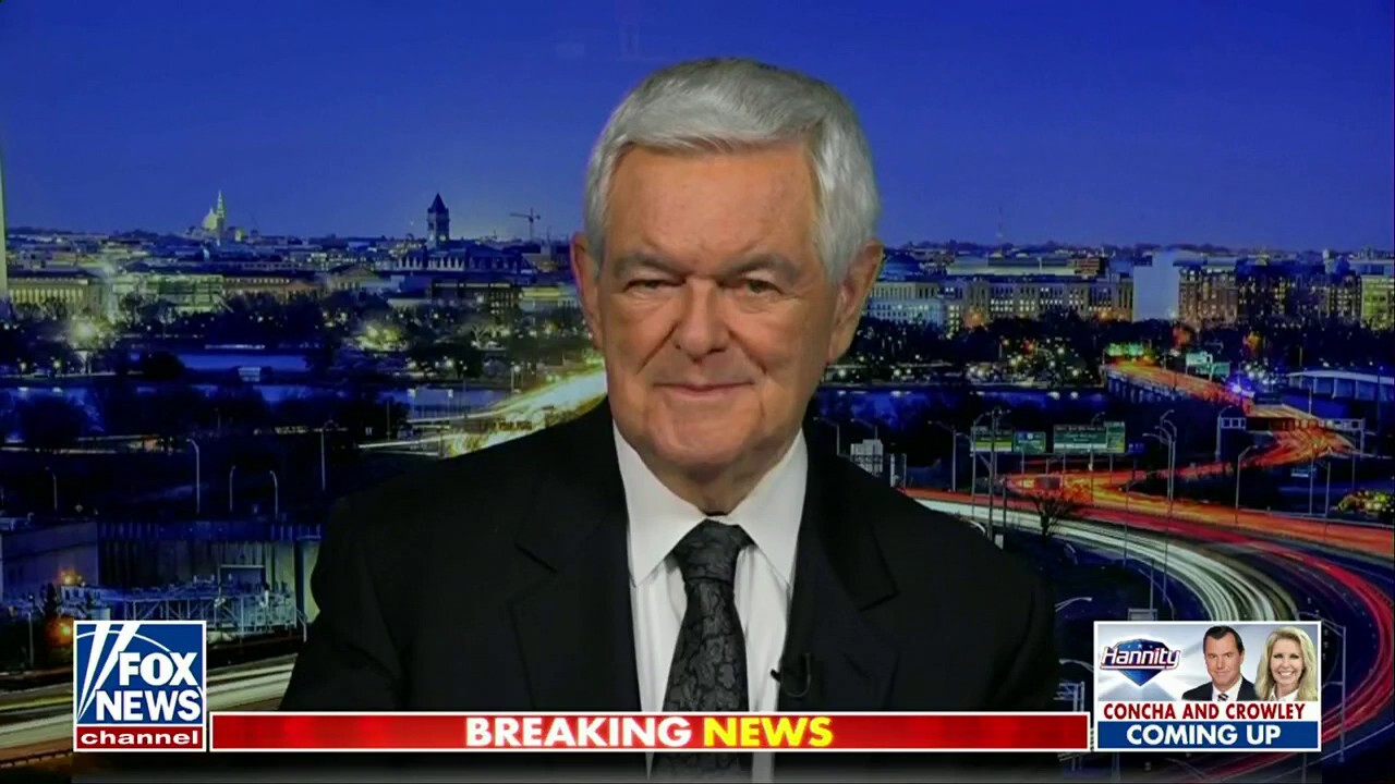 Newt Gingrich: These candidates have a history of reckless rhetoric thumbnail
