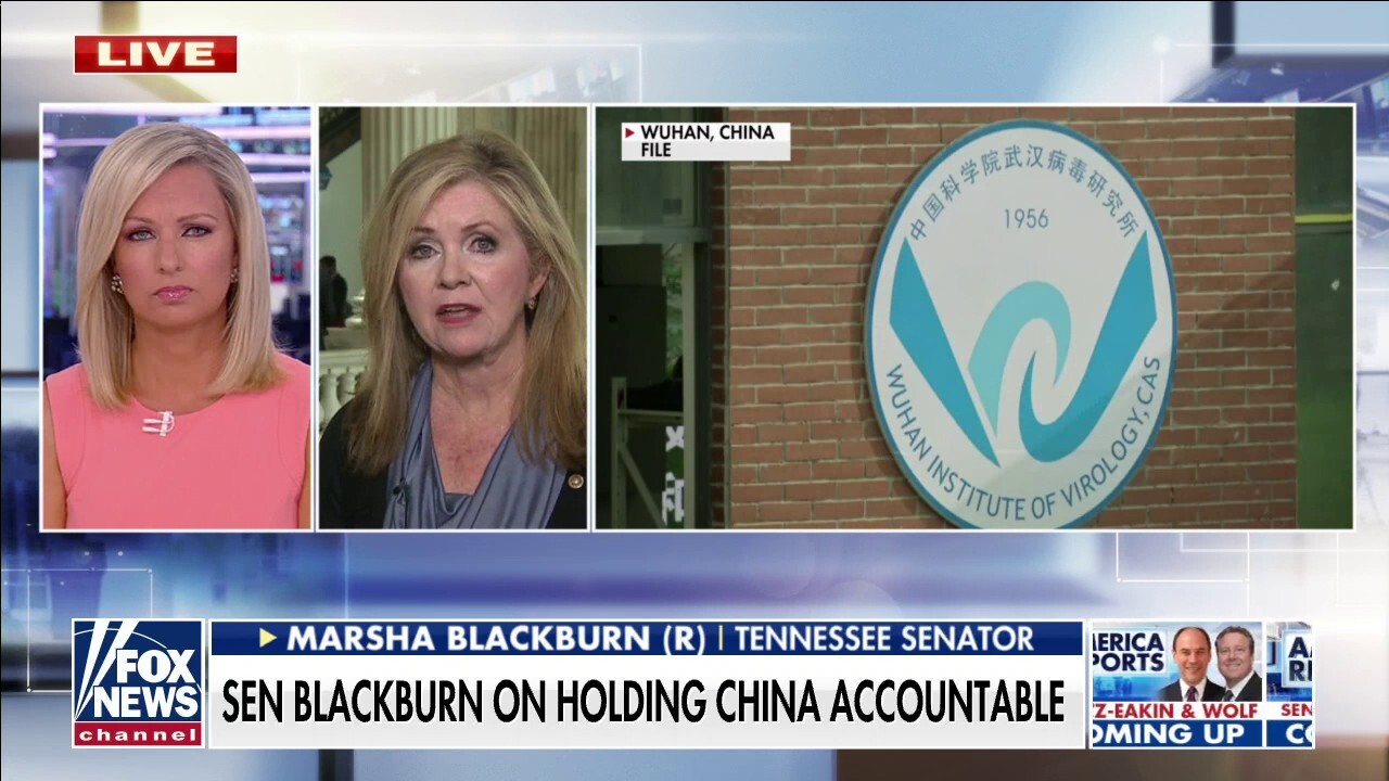 Fauci, China, WHO must answer questions on 'gain of function' research in Wuhan: Blackburn