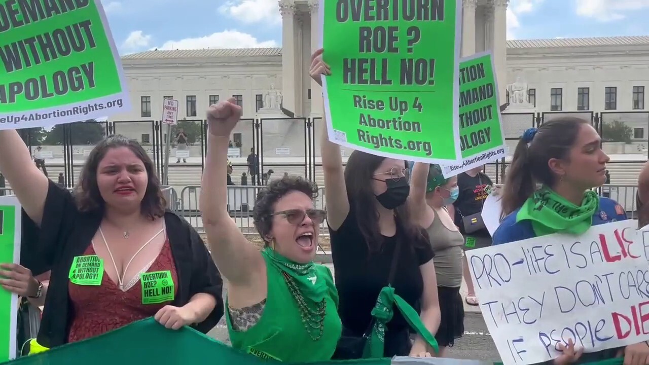 Protestors react to the overturning of Roe v Wade 