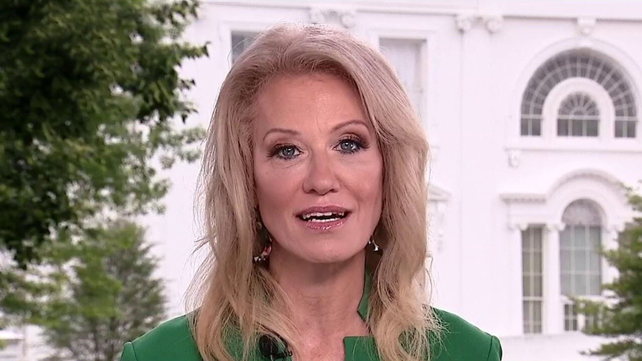 Kellyanne Conway: If Americans can find way to beaches, they can find way to polls