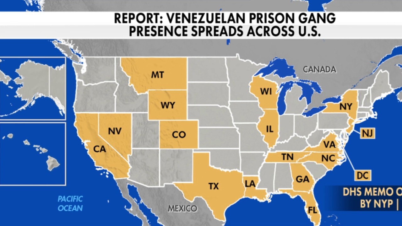 Retired ICE agent and U.S. congressional candidate Victor Avila discusses reports that crime linked to the Tren de Aragua gang are rising in the United States on 'America Reports.' 